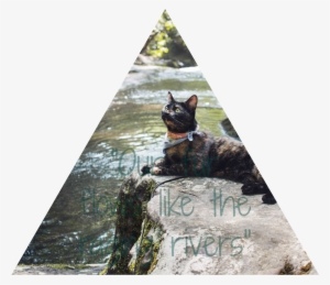 Waterfalls Of Stars - Black Cat