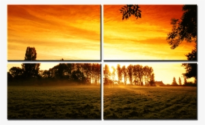 Acoustic Panels Sunrise - Sunset Trees
