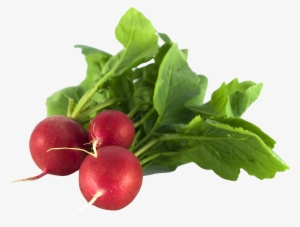 Radish Png Image - Radish Png