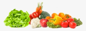 Food Vegetables - Eko System Premium Lcd Vacuum Sealer Machine One Touch