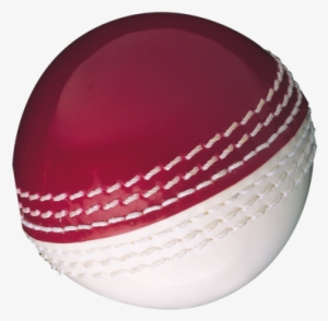 Gunn & Moore Skills Cricket Ball