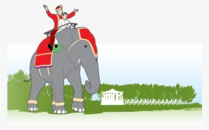 Anatomy How To Book An For Indian - Indian Man On Elephant Wedding