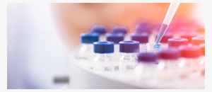 Faculdade Independente Do Nordeste