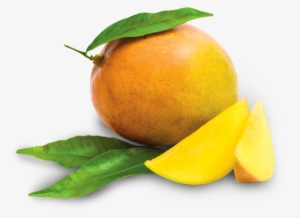 Fundaaz Super Nimbu Pani Fruit Lichi Juice - Mango Fruit Drink Png