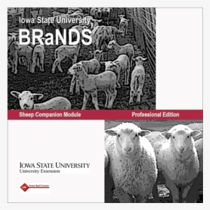 Sheep Brands - Sheep