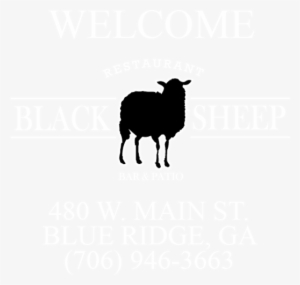 The Black Sheep - Sheep