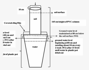 Diagram Of The Soil Column And Pot Water Holding Containers - Soil