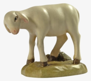 Sheep - Schaf Skincare