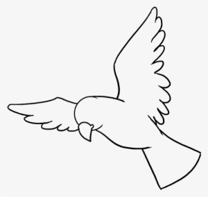 How To Draw Bird - Bird And Fish Drawing