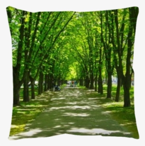 Window Opened To The Beautiful Park With Many Green - Window Open To A Park