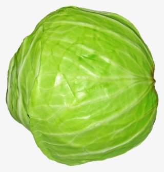 Green Vegetables Png - Cabbage Png