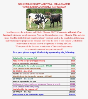 Upcoming Projects - French Invasion Of Russia