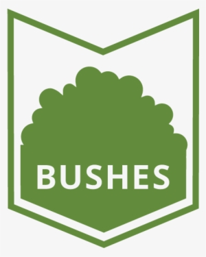 For Your Beautiful Bushes And Shrubbery, You Always - Lawn