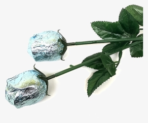 Baby Blue Foiled Belgian Chocolate Color Splash Roses - Flower
