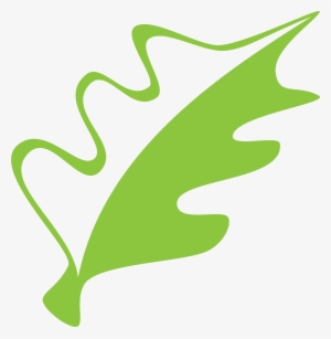 The International - International Cc Bolton