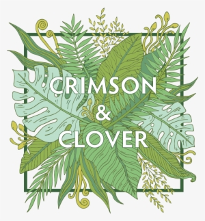 Crimson & Clover Designs Baltimore's Most Coveted Florists,