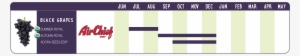 Seasonal Availability - Clock
