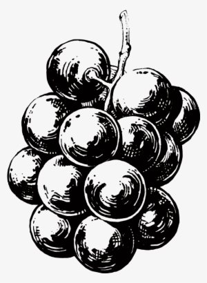 Grape Seed Extract - Grape