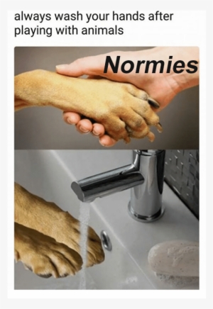 Wash Your Hands - Did The Chicken Cross The Road To Get