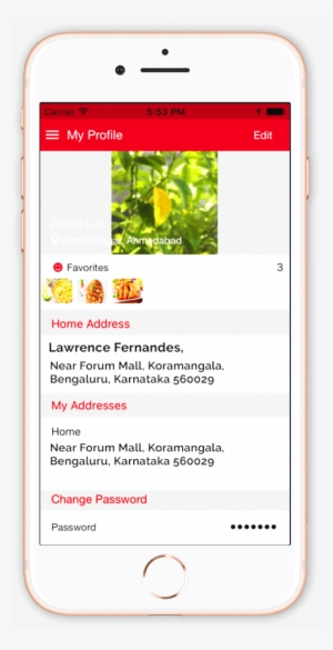 Modak Ios App Development5 - App Store