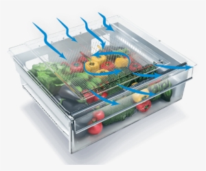 Your Food Stays Storefreshtm For Up To 30 Days - Beko Gn1416220cx
