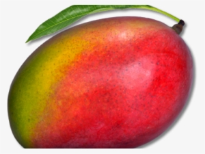 Mango Png Transparent Images