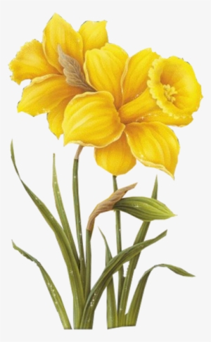 Yellow Flower Transparent