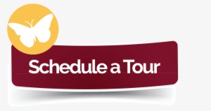 Take Advantage Of All That Ávila Has To Offer - Label