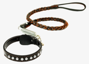 Love It Beautiful Dog Chain Dog Rope Pet Leash In The - Leash