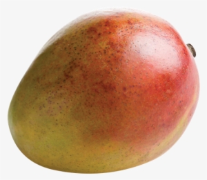 Mangoes - Mango