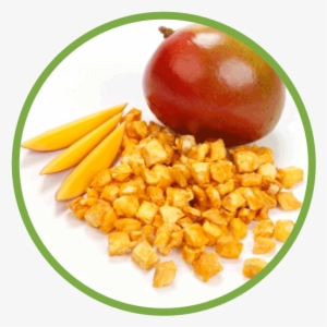 Mango Circle Mango Md Circle - Individual Quick Freezing
