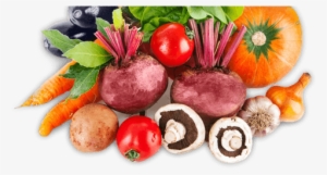 Fresh Vegetables The Best Organic Vegetables From Around - Vegetable