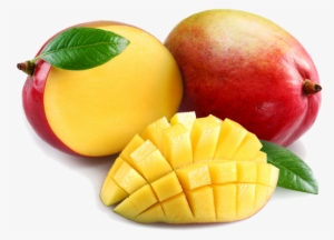 Mangoes - 16 Lb Bulk Mango Butter