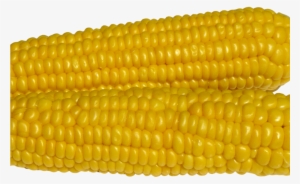 Corn Png Image - Maize