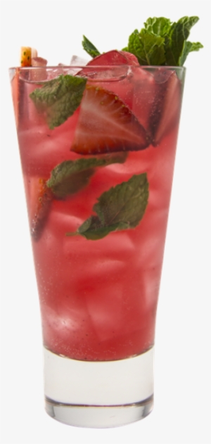 Watermelon & Strawberry Mint Soda - Watermelon