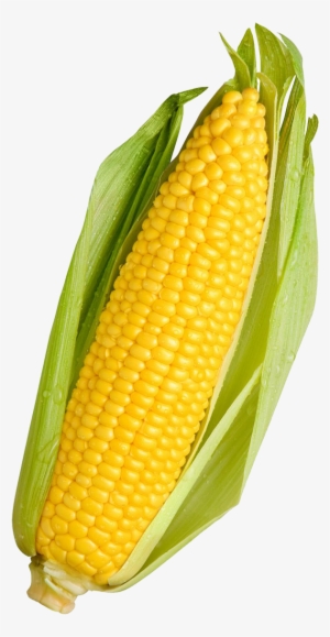 Corn - Vegetables Corn