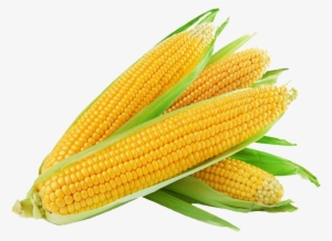 Sweet Corn