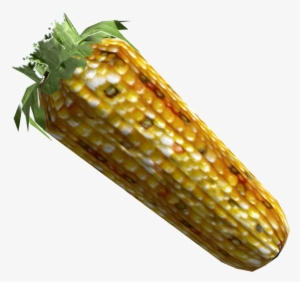 Maize