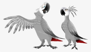 African Grey Parrots By Melhellmoon On Deviantart - African Gray Parrot Drawing