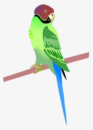 Free Parrot And Macaw Clipart - Clip Art