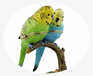 Budgerigar - Juliana Treasured Two Budgerigars On Branch Hinged