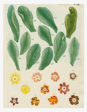 028 770ccd65 Bd2c 4a84 A67d 504e82f7c034 V=1527800778 - John Derian Picture Book