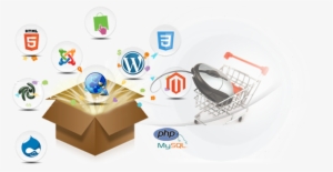 Custom Ecommerce Website Development - Custom E Commerce Development