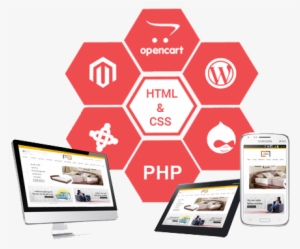 Ecommerce Developer Vadodara - Ecommerce Development