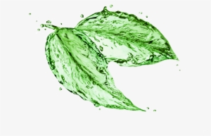 What Are Your Alternatives To The Dangerous Dry Cleaning - Leaves Made Of Water