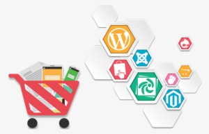 Ecommerce Design & Solutions