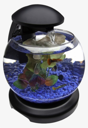 Glob Aquarium Fish Tank Png Transparent Image - Png Transparent Fish Tank Png