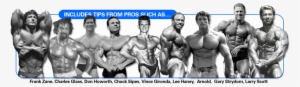 9 Protips Banner Nodave - Larry Scott Vs Frank Zane