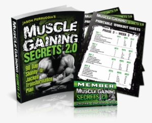Muscle Gaining Secrets Program - Muscle Gaining Secrets 2.0