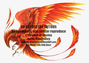 Phoenix By Shadow Of Destiny - Phoenix Drawing